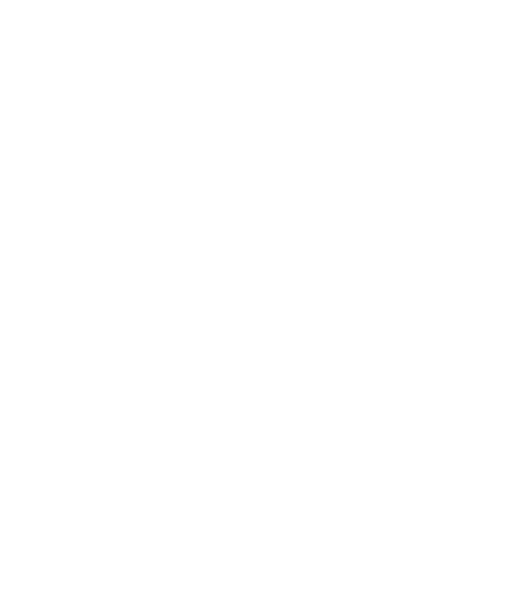 Demsen
